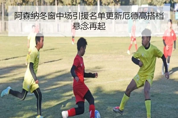 阿森纳冬窗中场引援名单更新厄德高搭档悬念再起